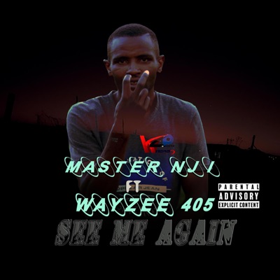 SEE ME AGAIN (feat. Wayzee405) - Single