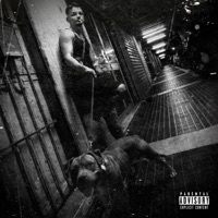 Gotham 2 - Single - Padrone & Saints