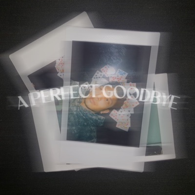 A PERFECT GOODBYE - EP