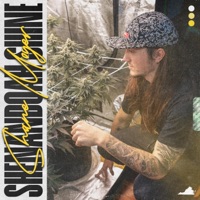 Shenandoah Shine - Single - Shane Moyer