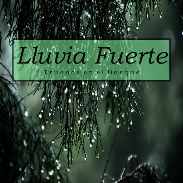 Lluvia Fuerte y Truenos en el Bosque