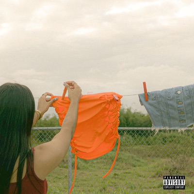 FALDA 2006 (feat. Piradez) - Single