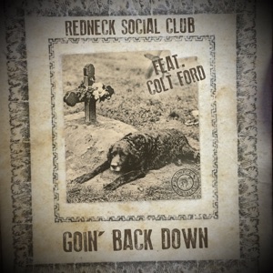 Goin' Back Down (feat. Colt Ford) - Single