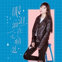 眼泪滴在心痛处 - Single - 秦文音