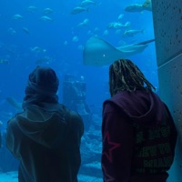 Extra - Single - 1600J