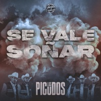 Se Vale soñar - Single - Los Picudos