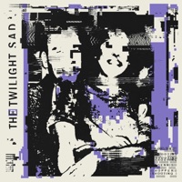 Shooting Dennis Hopper Shooting - Single - The Twilight Sad