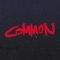Common (feat. EMMERICH) artwork