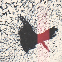 22 Floors - Single - KILLFI$h