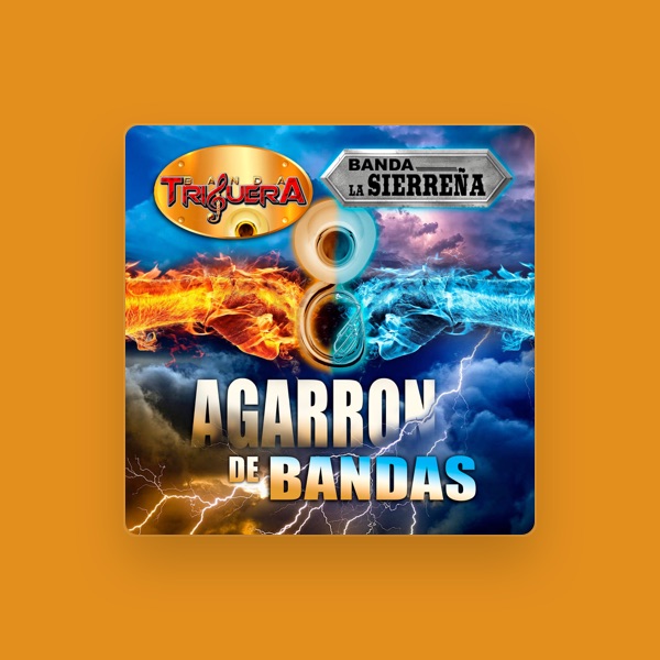 Banda La Sierreña's avatar