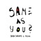 Same as You - Baba Shrimps & Pigna lyrics