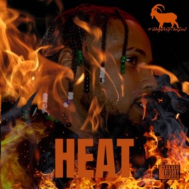 HEAT (feat. King EeSy) TaKeOvaFamily
