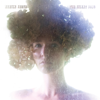 The Silent Song - Marike Jager