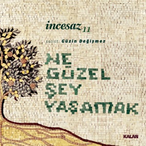 Ne Güzel Şey Yaşamak (feat. Güzin Değişmez)