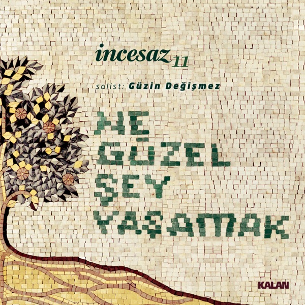 Ne Güzel Şey Yaşamak (feat. Güzin Değişmez)