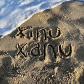 Xinu Xanu artwork