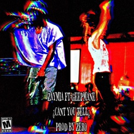 Cant You Tell? (feat. Geepmane) ZayMia