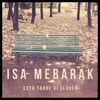Esta Tarde Ví Llover - Single