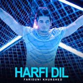 Harfi Dil song art
