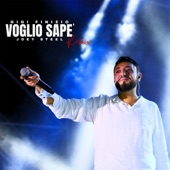 Voglio Sapè (Joey Steel Remix) artwork