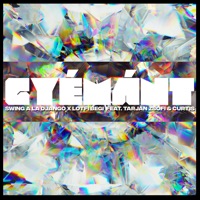 Gyémánt (feat. Tarján Zsófi & Curtis) - Single - Swing à la Django & Lotfi Begi