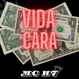 Vida Cara