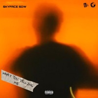 What You Telling Me - Single - Skyface SDW