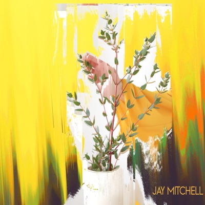 Idmt - Single