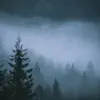 O Holy Night