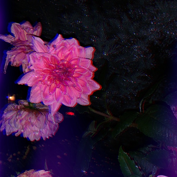 Resolution - Single