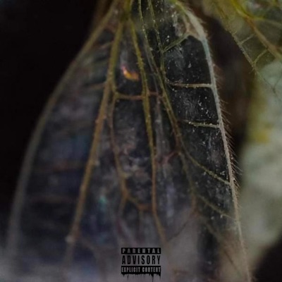 Que enfado (feat. PIMP En La Pista & Manuel Mejía) - Single