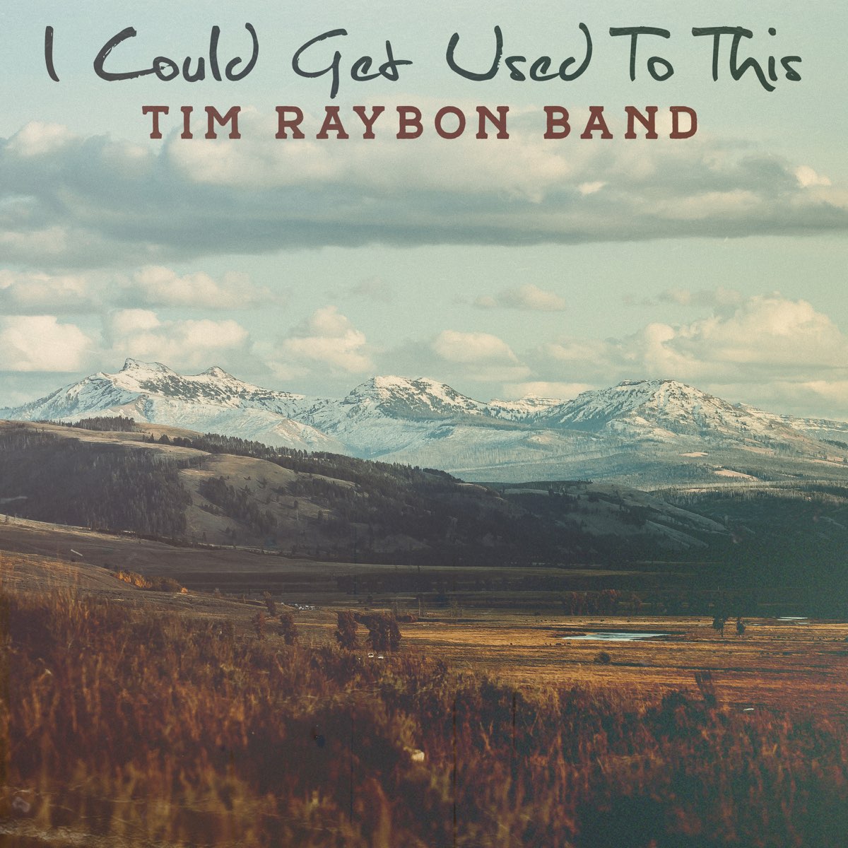 Waterloo Revival I Could Get Used To This ‎I Could Get Used to This - Album by Tim Raybon Band - Apple Music