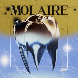 Molaire Almanach