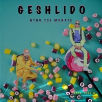 Ntho Tse Monate - Single - GESHLIDO