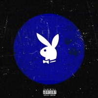 PLAYBOY (feat. sosatheprodigyy) - Single - Deezy W