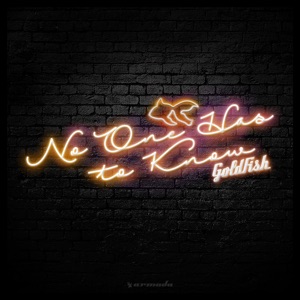 No One Has to Know - Single