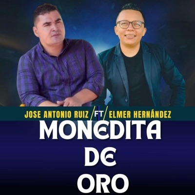 Cantautor Elmer Hernandez - Monedita de Oro