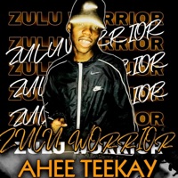 Zulu Worrior (BassGroove) - Single - Ahee Teekay