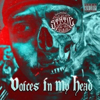 Voices In My Head - Single - Static Mr. Unbreakable