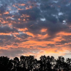 My Type (feat. Sqeffy) himiko