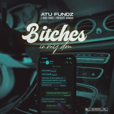 Bitches in My DM (feat. Igho Fundz & Prescott Armani) - Single