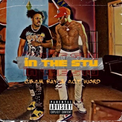 In the Stu (feat. O.C.T Word) - Single