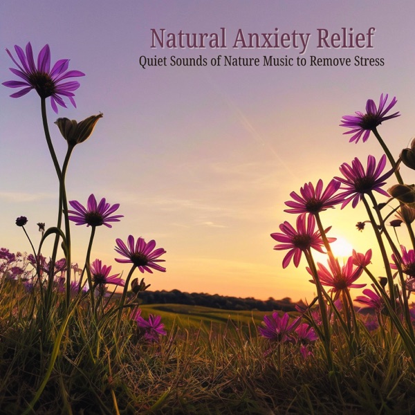 Natural Anxiety Relief - Quiet Sounds of Nature Music to Remove Stress