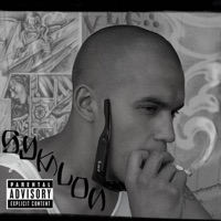 Soliers Under Recognition - Single - Syklon 208