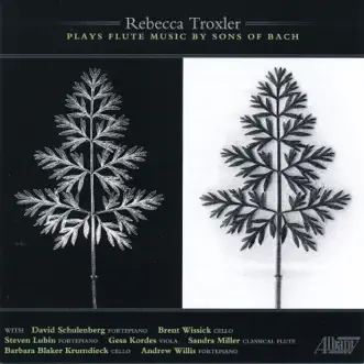 Quartet for Flute, Viola, Cello & Harpsichord in A Minor, Wq. 93: I. Andantino by Rebecca Troxler, Gesa Kordes, Barbara Blaker Krumdieck & Andrew Willis song reviws