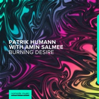 Burning Desire - Single - Patrik Humann & Amin Salmee