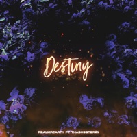 Destiny (feat. Thabosster21) - Single - Realmrcarty