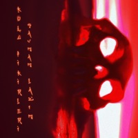 Kötü Fikirleri Savmam Lazım (feat. bo) - Single - Gxblin