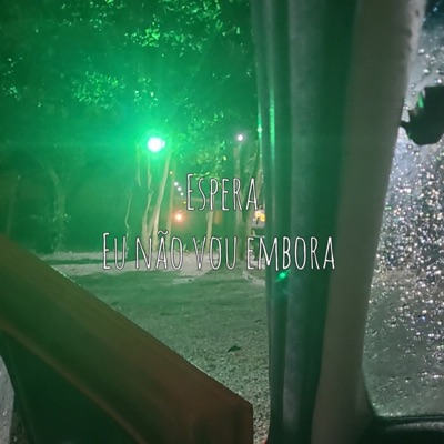 Espera Eu Não Vou Embora - Single