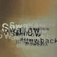 Swallow - Follow Me Down
